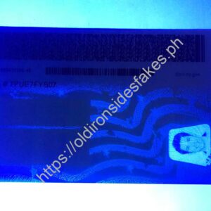 New York Driver License(NY U21) | old ironside fake ||