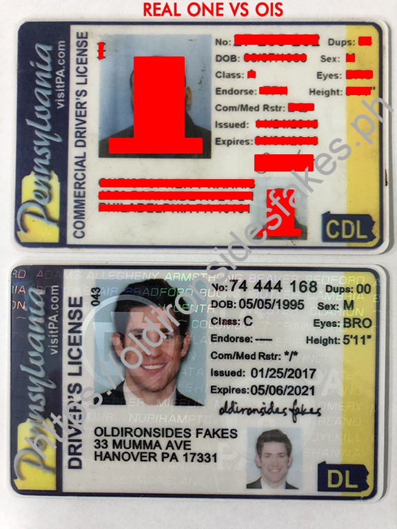 Pennsylvania Driver License(Old PA)