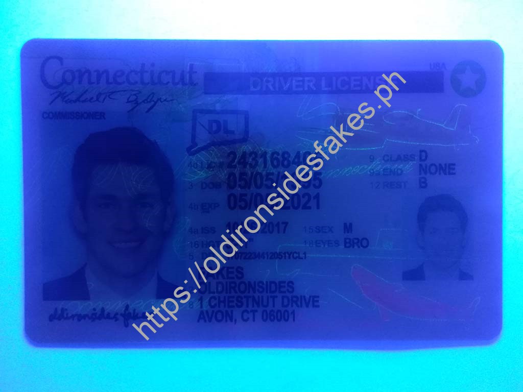 Connecticut Driver License(New CT) - Image 2