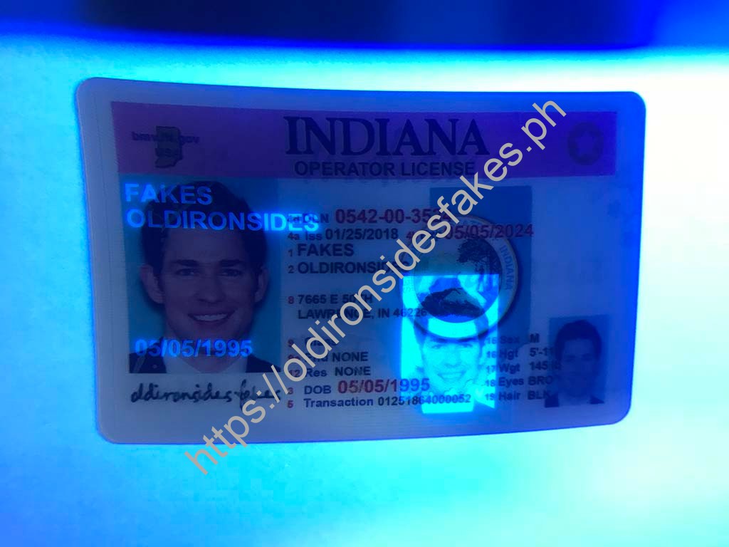 Indiana Driver License(Old IN) - Image 2