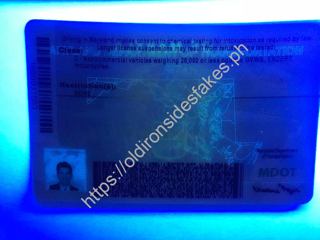 Maryland Driver License | old ironside fake ids - Image 2