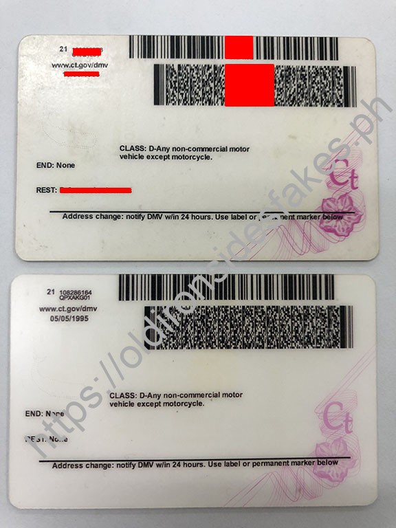 Connecticut Driver License(New CT) - Image 6