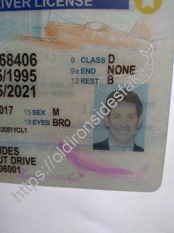 Connecticut Driver License(New CT) - Image 5