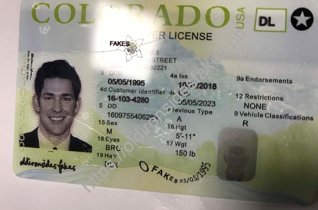 Colorado Driver License(New CO) - Image 4